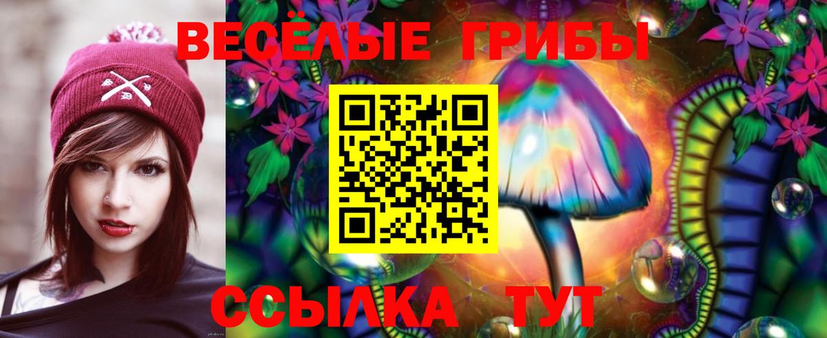 Георгиевск  Галлюциногенные грибы MAGIC MUSHROOMS  Вход с VPN 
